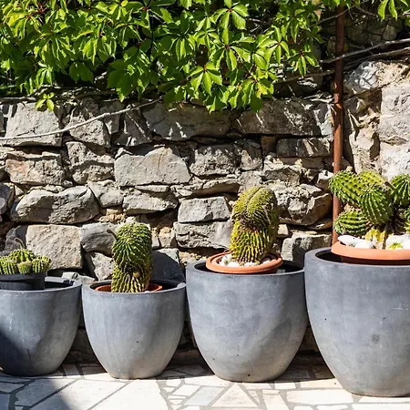 House Barbara アパート Kornić