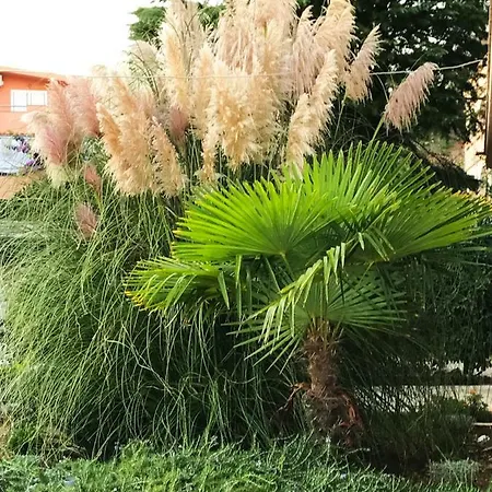 Apartmán House Barbara