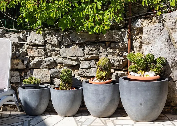 House Barbara Apartman Kornic