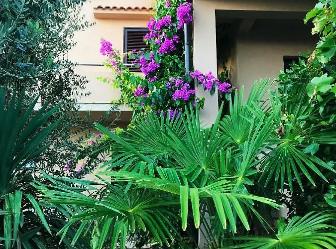 House Barbara Apartman