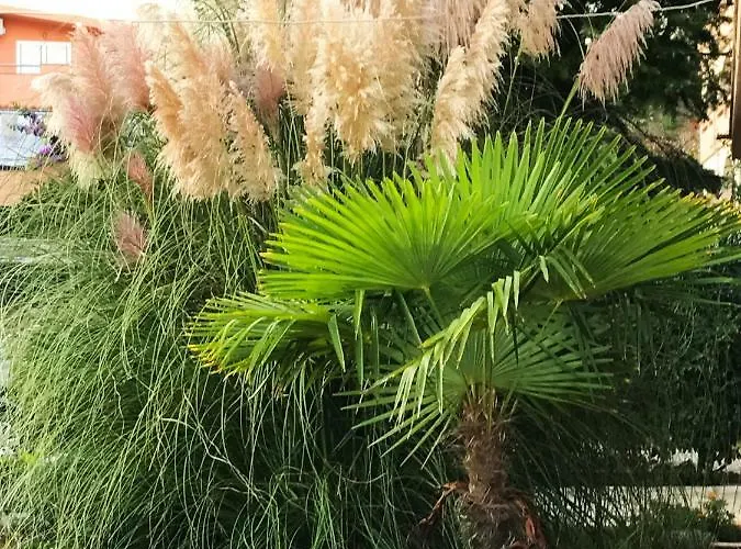 Lägenhet House Barbara